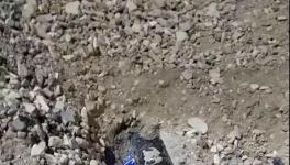 大貨車闖紅燈側(cè)翻!小車瞬間被埋!致3人死亡！