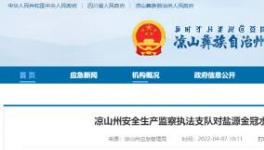 應(yīng)急管理局通報(bào)：鹽源金冠水泥被查出多處問題！