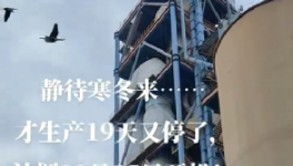 全停！最長200天！20個省水泥廠停產！