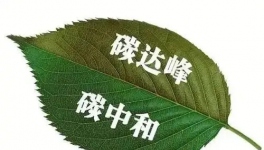 縫出匠心！這家環(huán)保企業(yè)脫穎而出！市場(chǎng)占有率名列前茅！